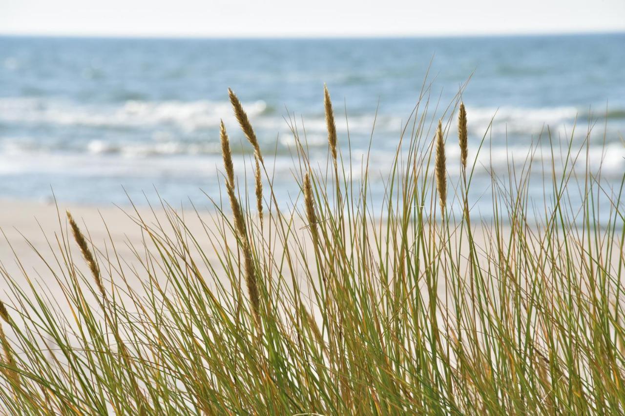 D&A Baltic Beach Villa Jurmalciems Dış mekan fotoğraf