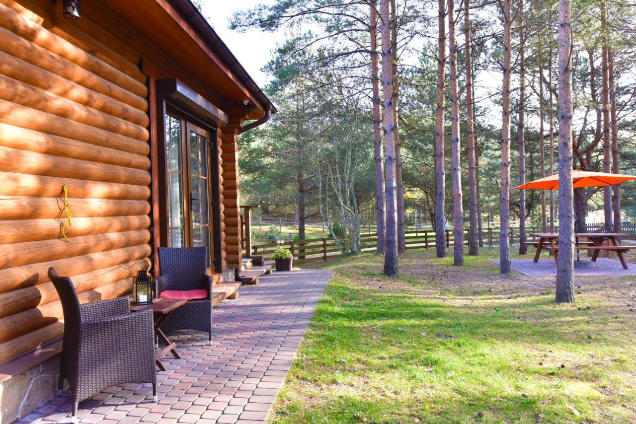 D&A Baltic Beach Villa Jurmalciems Dış mekan fotoğraf